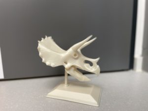 Weißes Skelett eines Dinosaurier-Kopfes auf einem Starb, der auf einer Blatte befestigt ist. 
