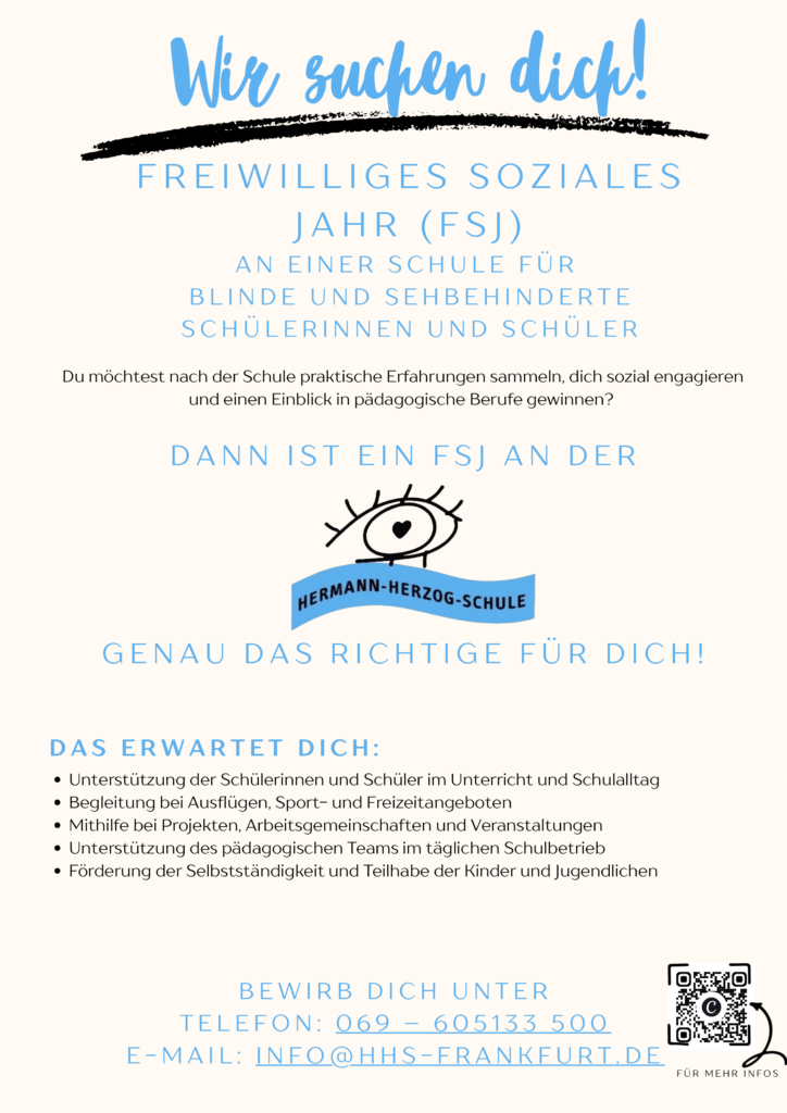 Flyer FSJ gesucht